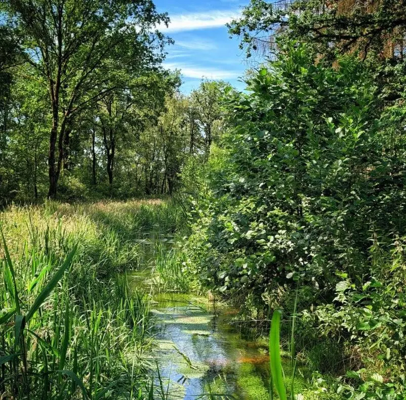 De Run in natuurgebied Grootgoor na fase 1