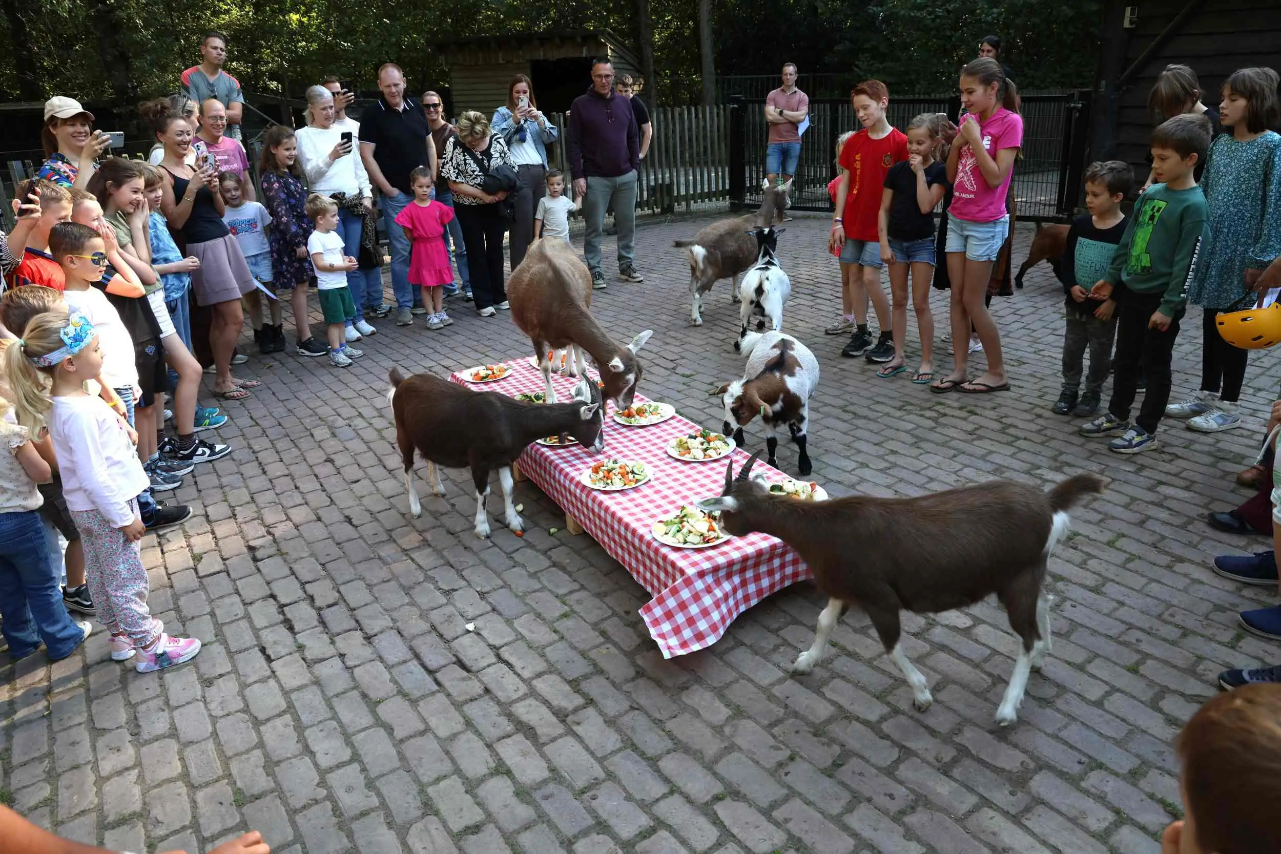 Dierendag-2026-14