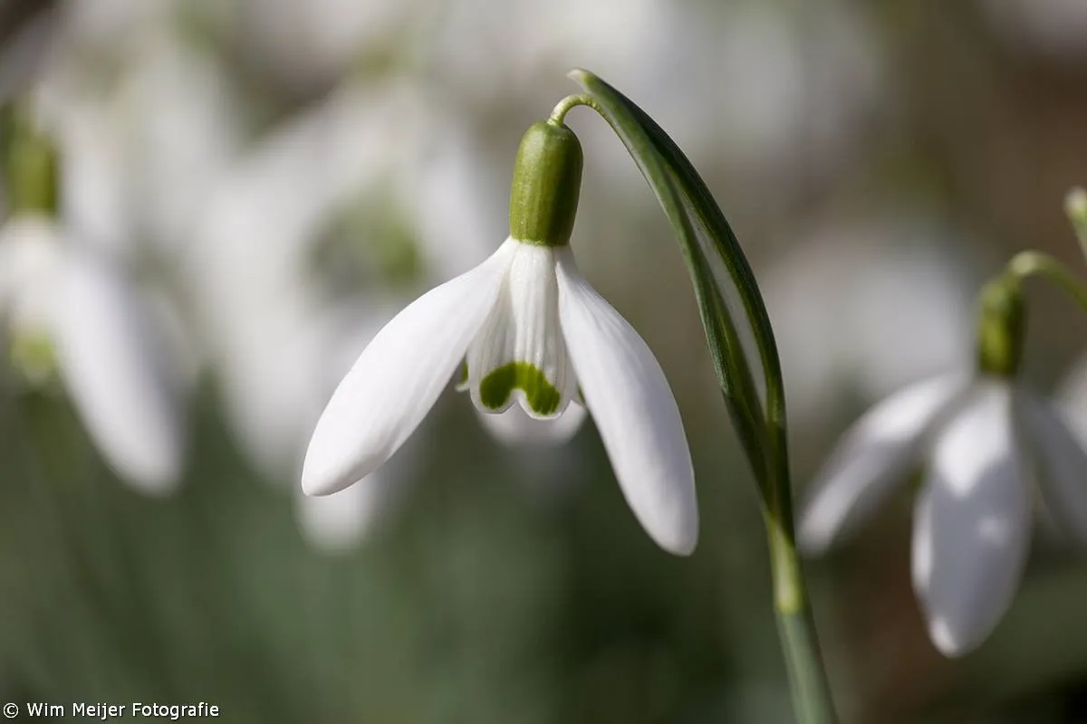 10818495 969898313022121 4902689290037496547 o