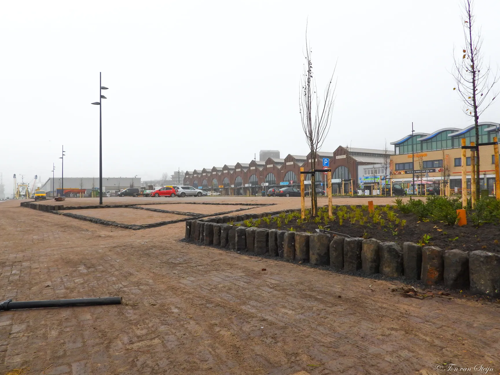 128767652 3437950662970842 909787906270744448 o