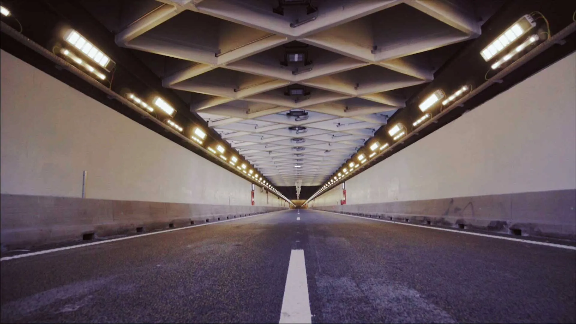 15195947 1541392675887714 1608584172497748113 o1