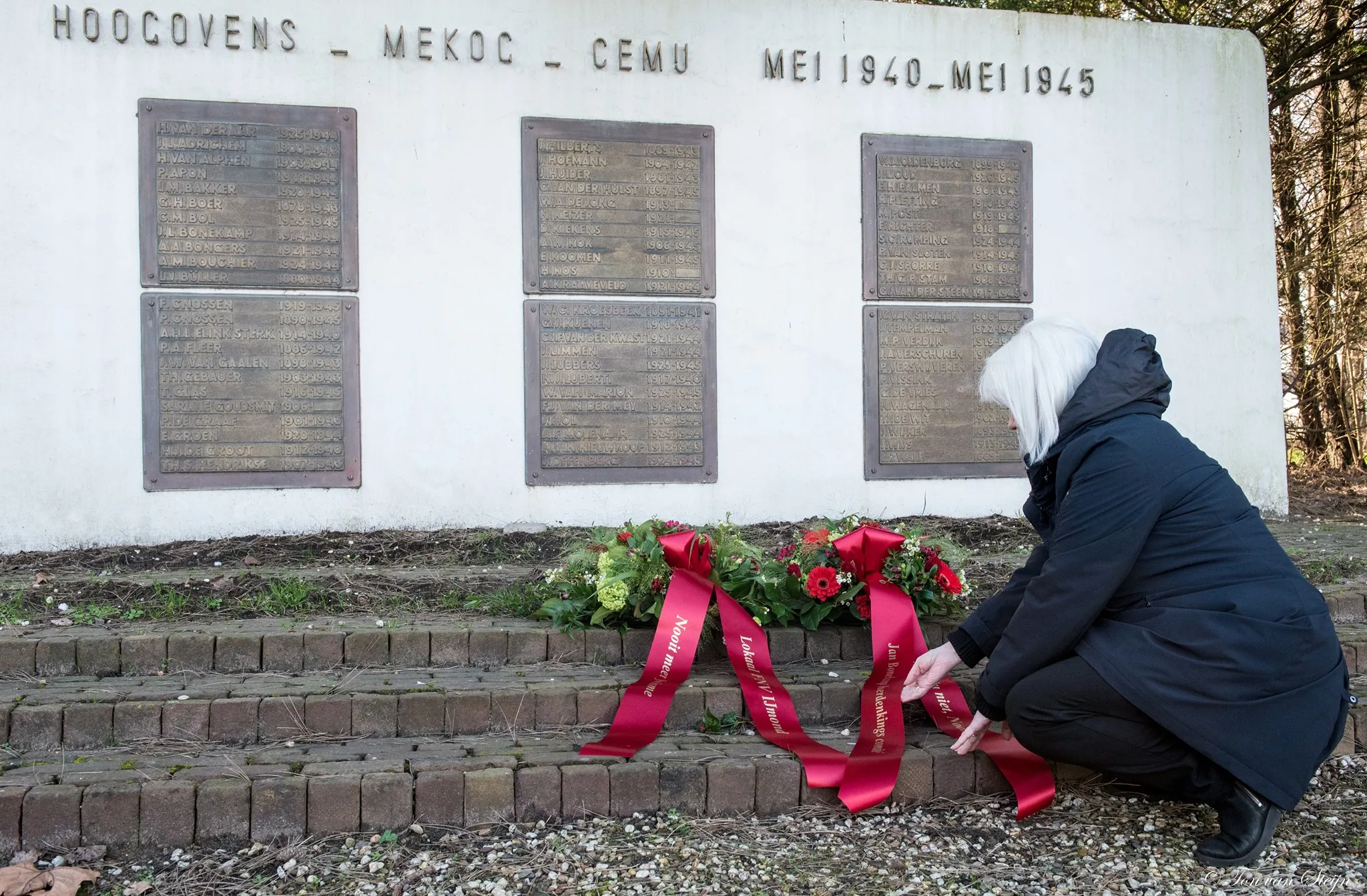 154723008 3664170977015475 2519441497916817716 o