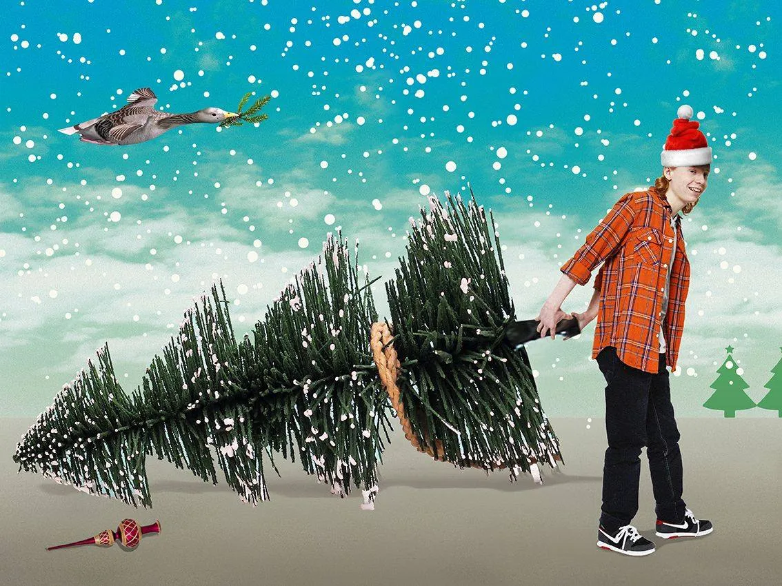 15875066 1815653445375143 4308663163594458953 o