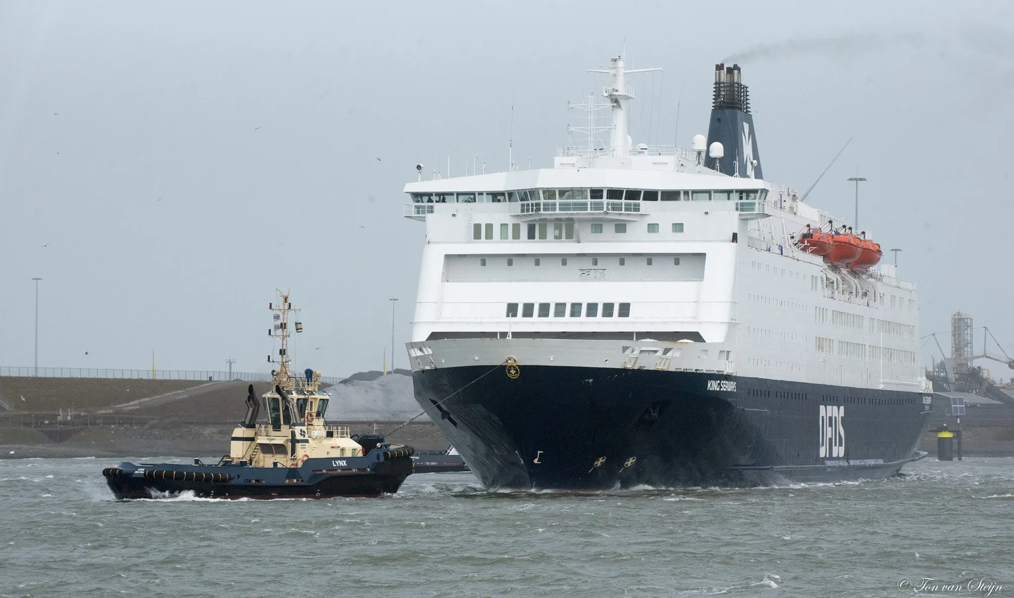 159980230 3703290526436853 5931549782091566490 o