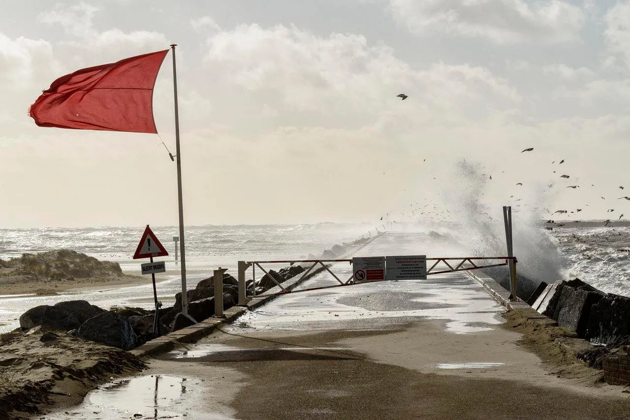 272944266 4718664064918003 5410847590119180076 n