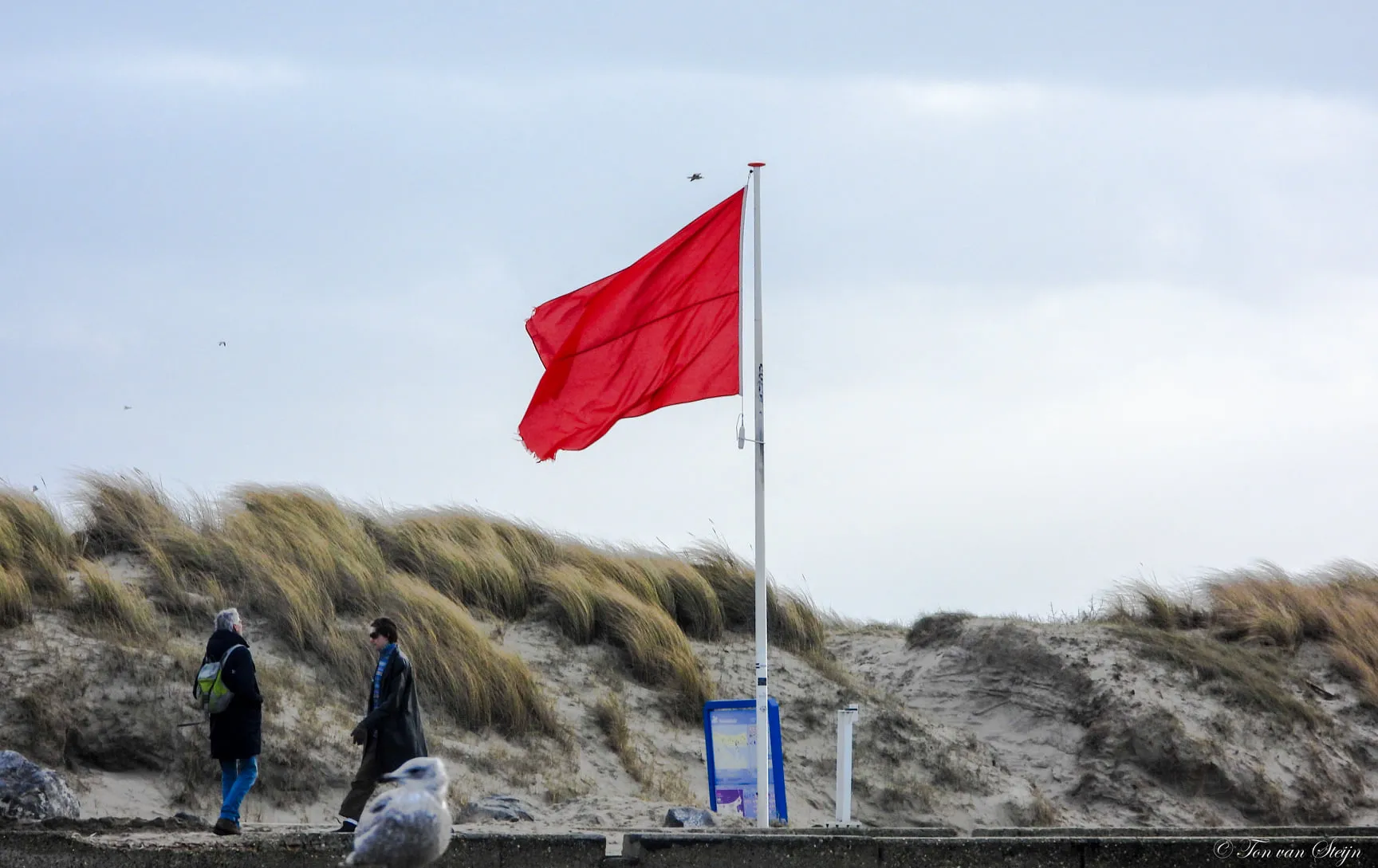 273008457 4710375262395036 4973102367669226110 n