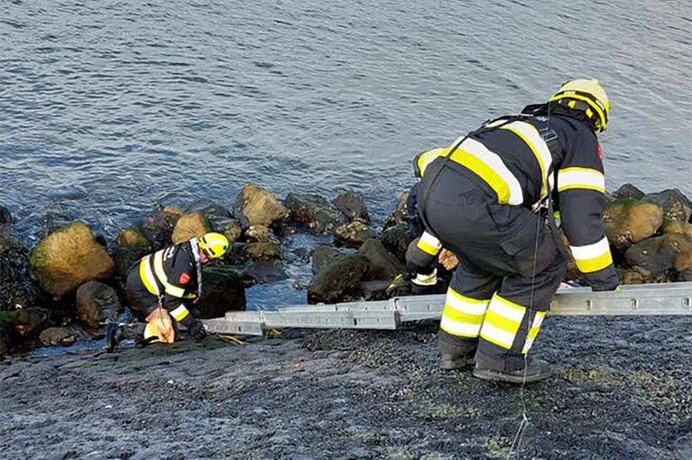 273158037 4726077127510030 7199573246638039442 n2