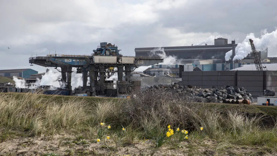 3z1a0255 harsco lente wim meijer fotografie 915x518 1