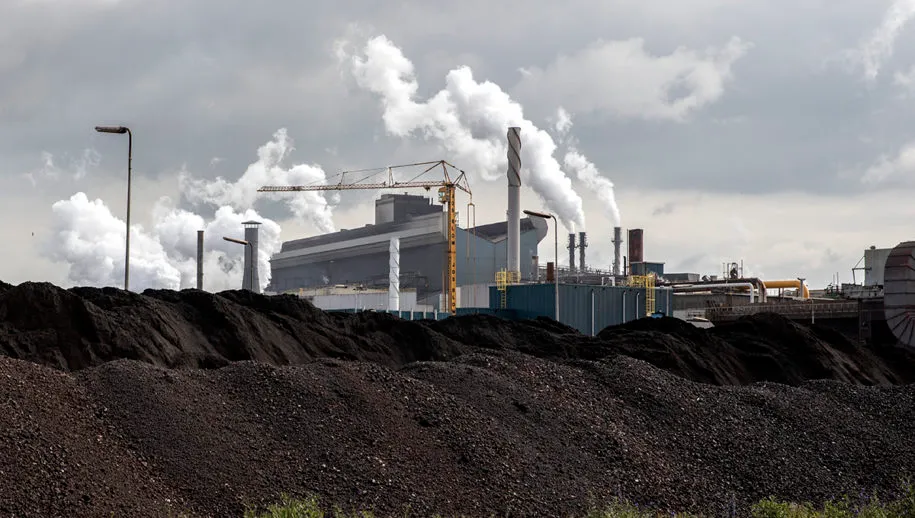 3z1a0728 tata wim meijer fotografie 915x518 1