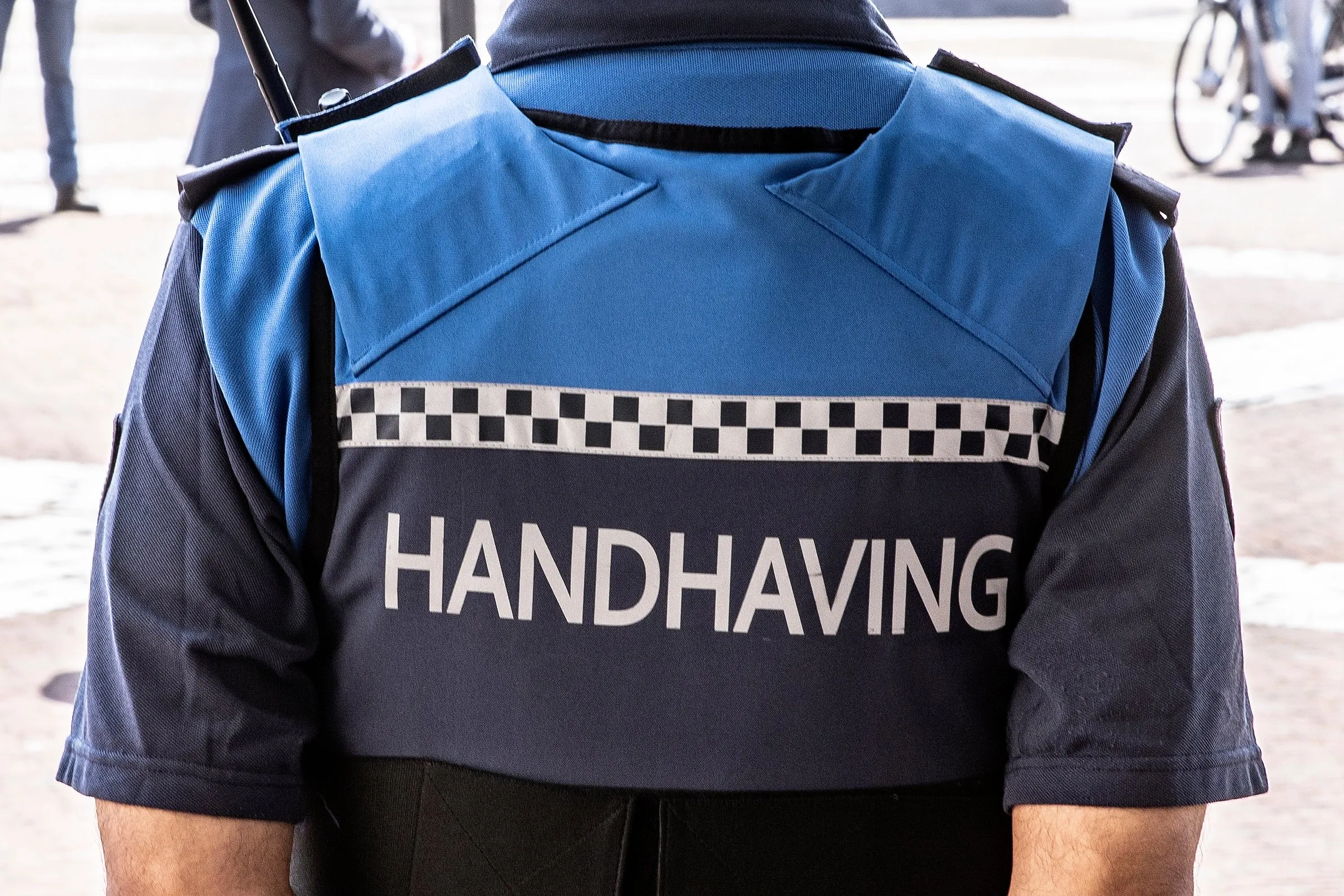 3z1a2327 boa wim meijer fotografie