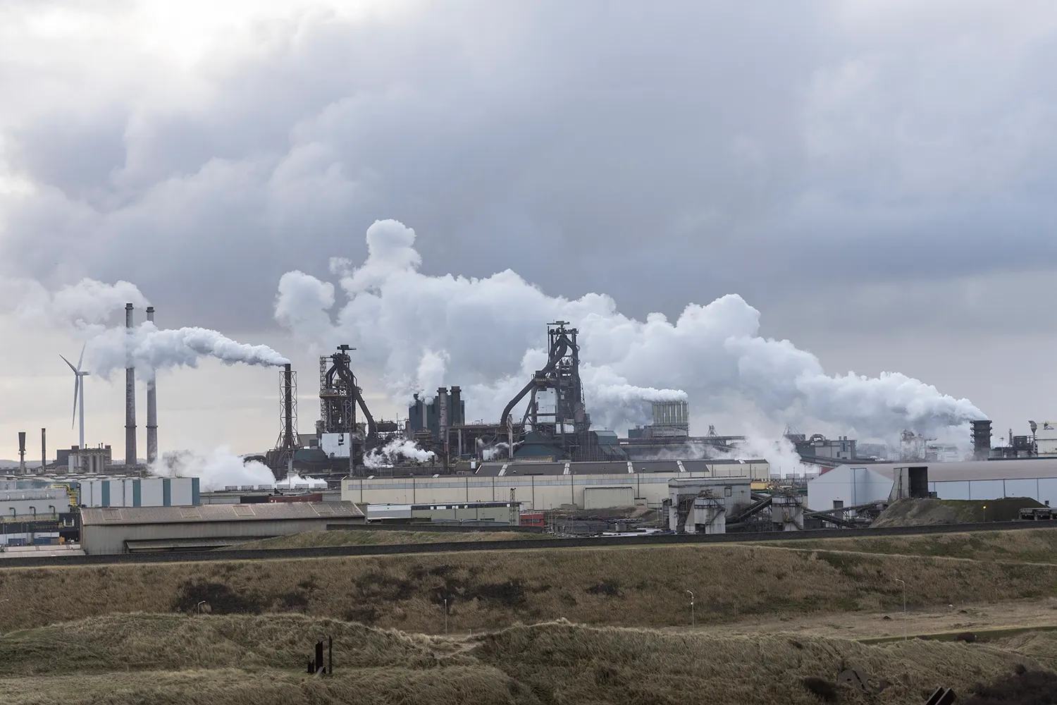 3z1a3180 tata wim meijer fotografie