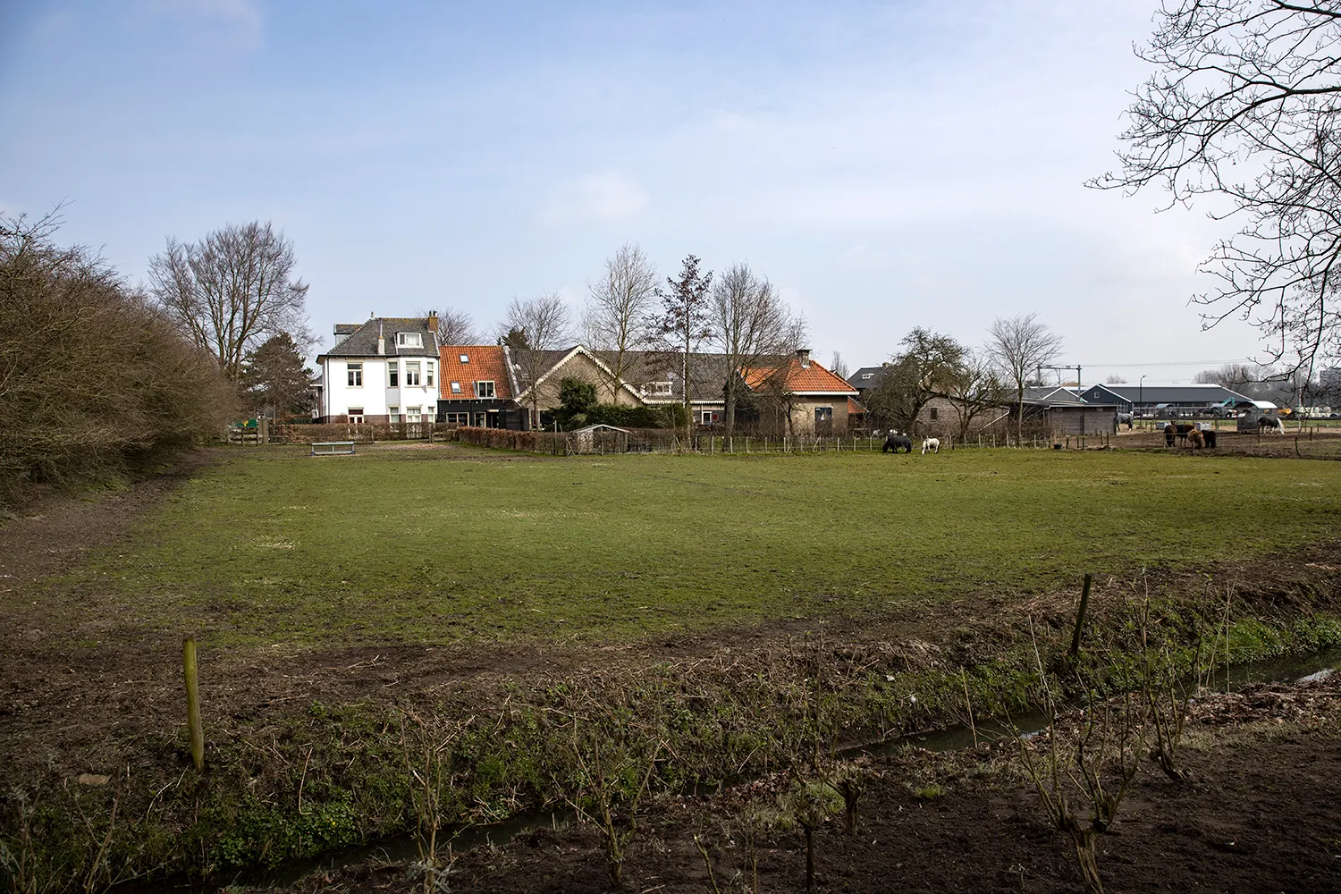 3z1a8926 landje van sinneveld wim meijer fotografie
