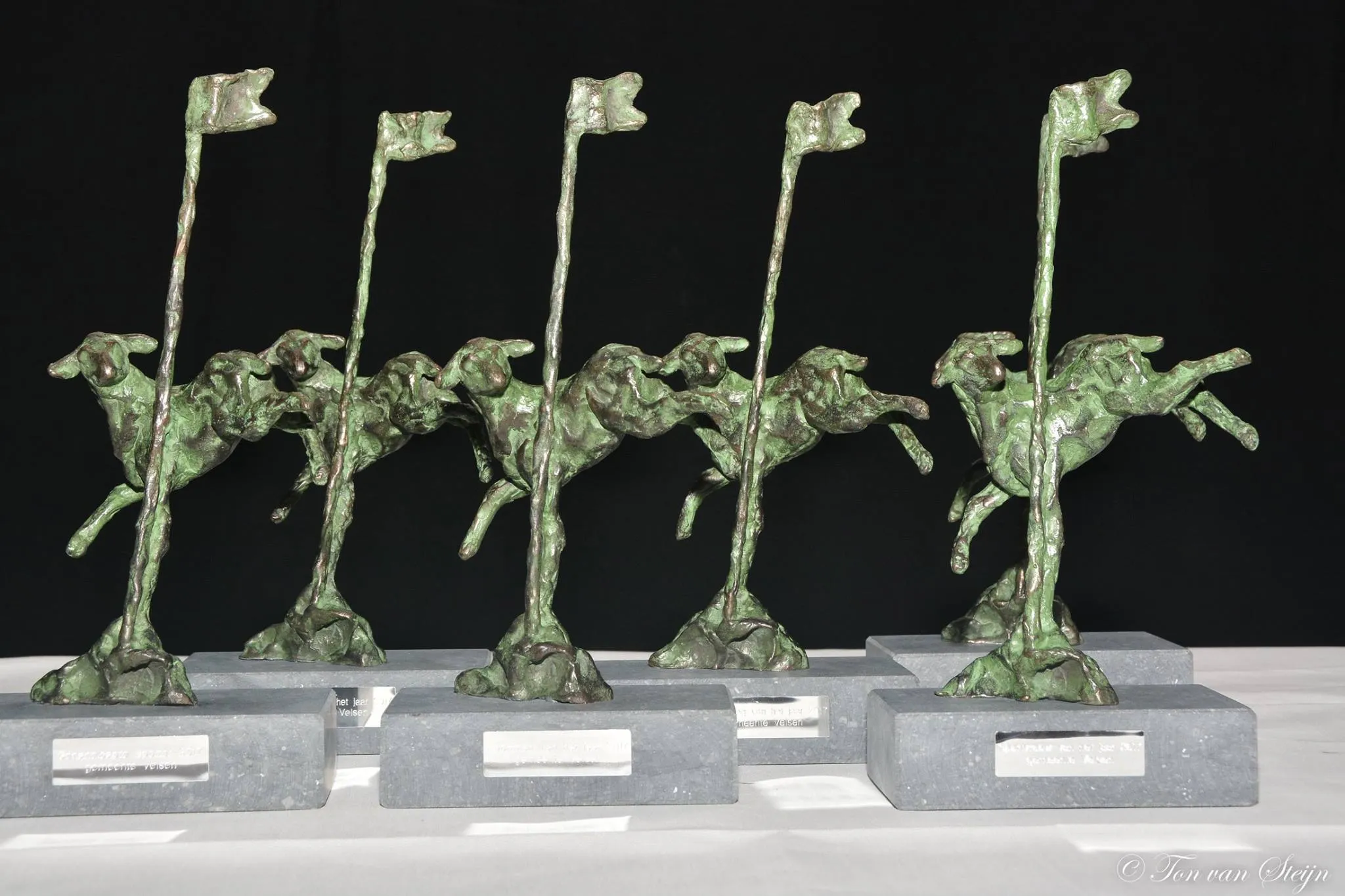 49185117 2211231469089913 5181038698640179200 o