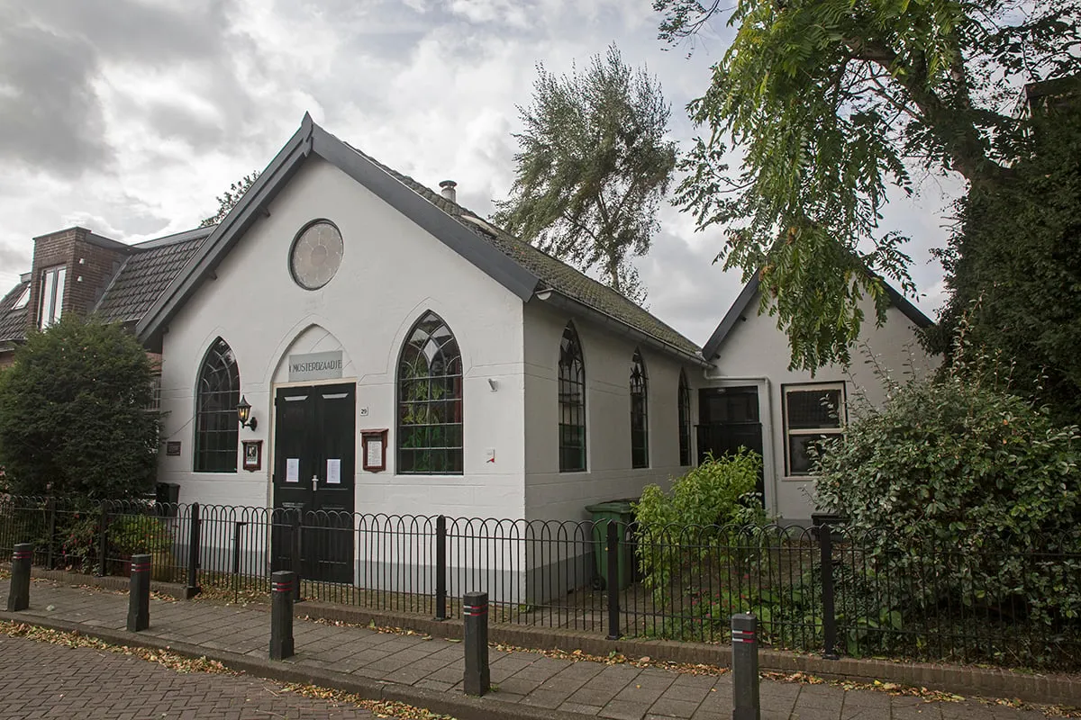 5i5a5602 mosterdzaadje