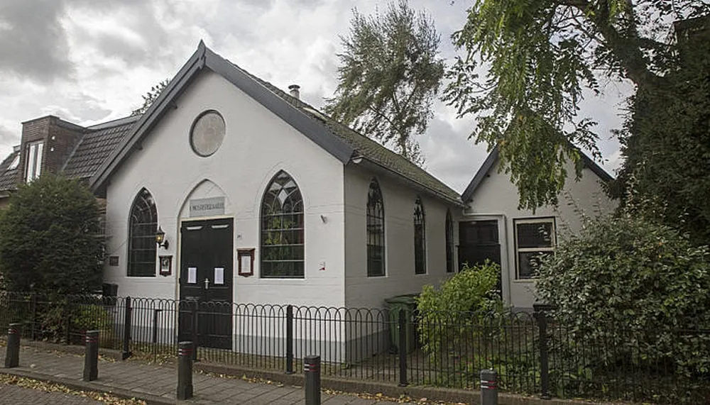 5i5a5602 mosterdzaadje 715x408