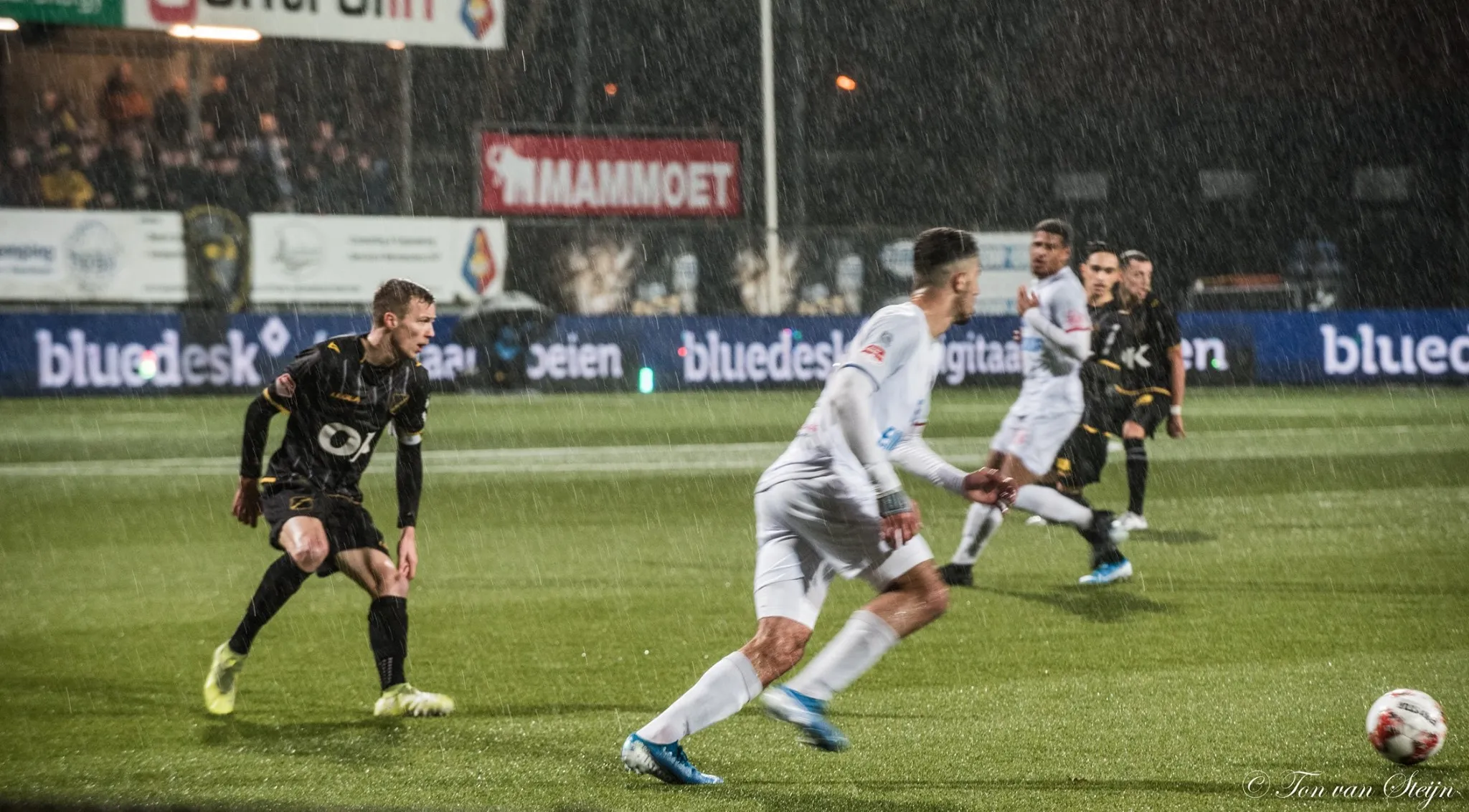 78599047 2524334217665829 7908310727935393792 o