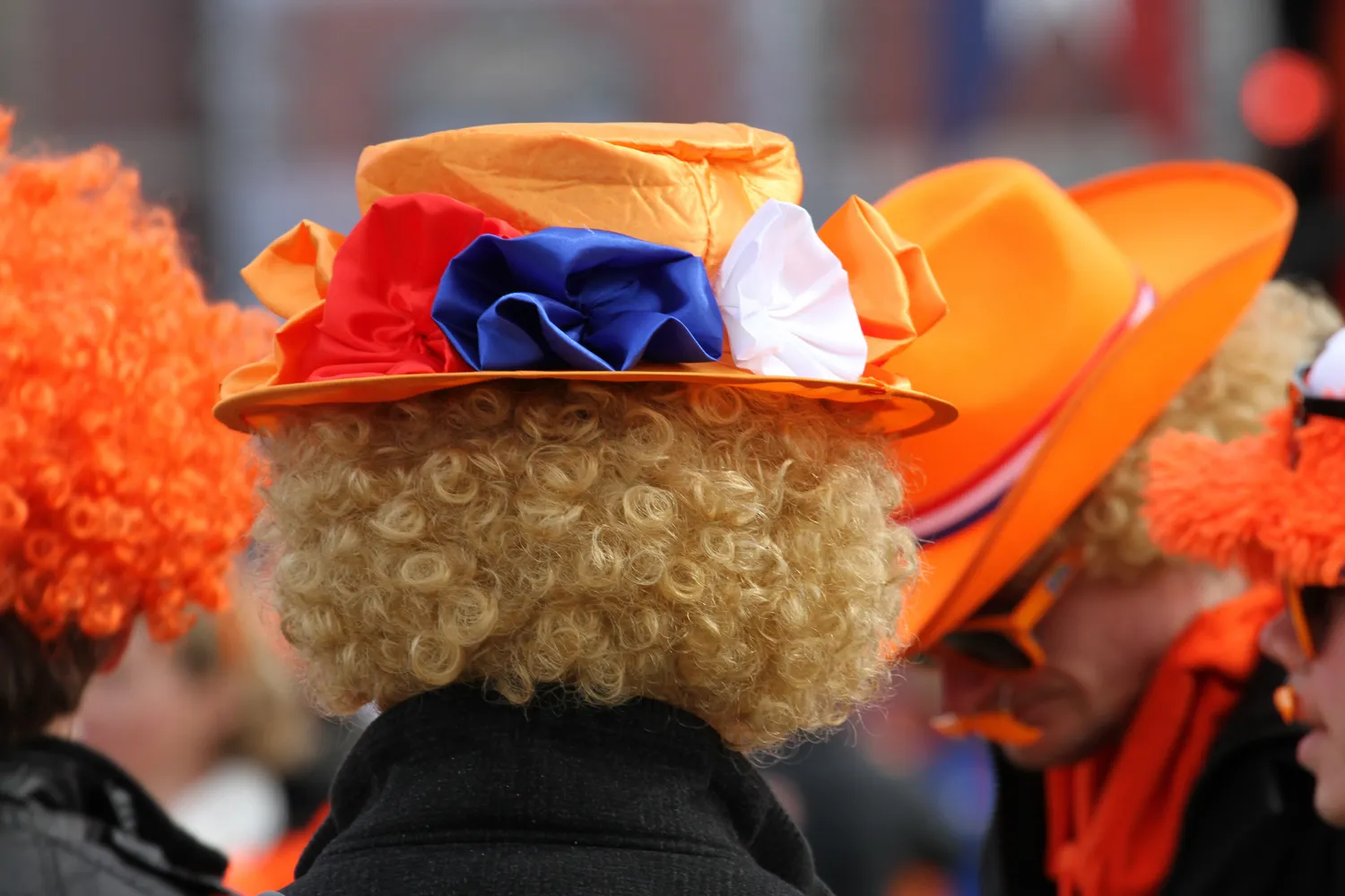 8697195566 8fce2532ff o