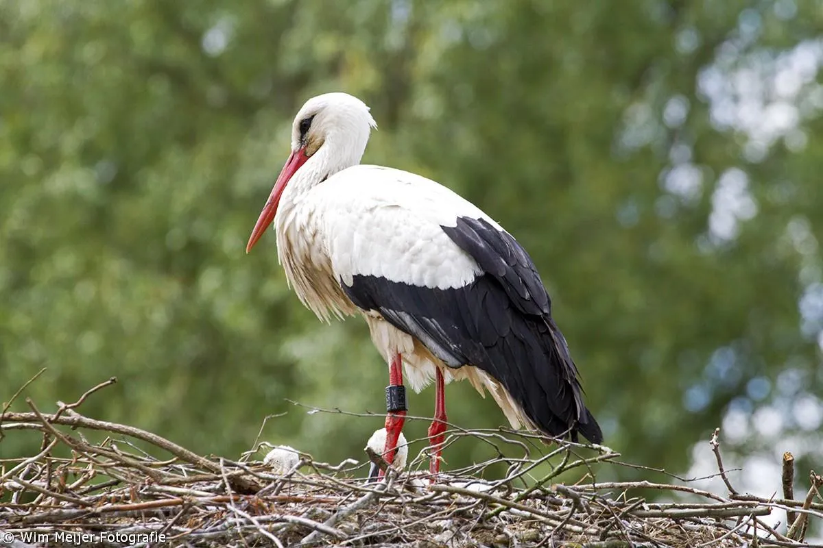 885751 10204978782855333 301624458833264510 o