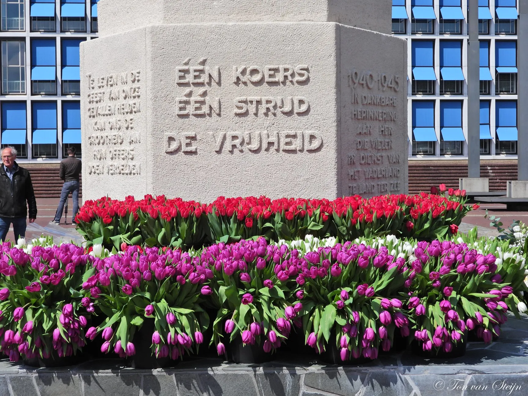 95566213 2843133745785873 4662624463701934080 o