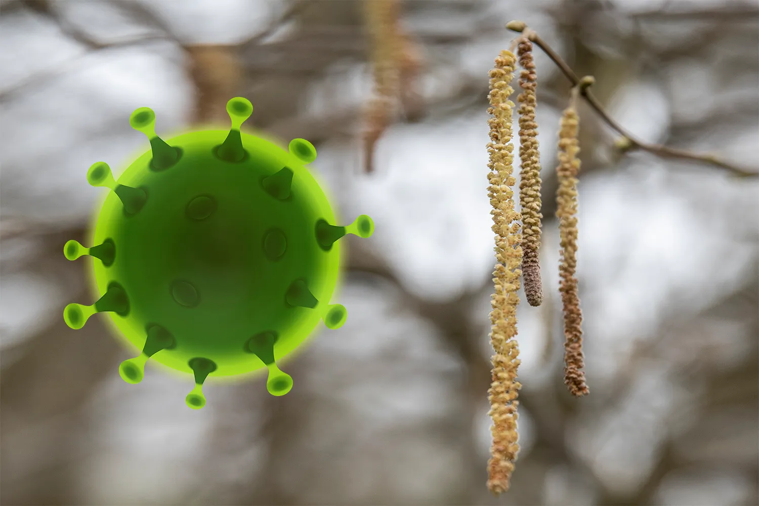 berk corona pixabay wim meijer fotografie