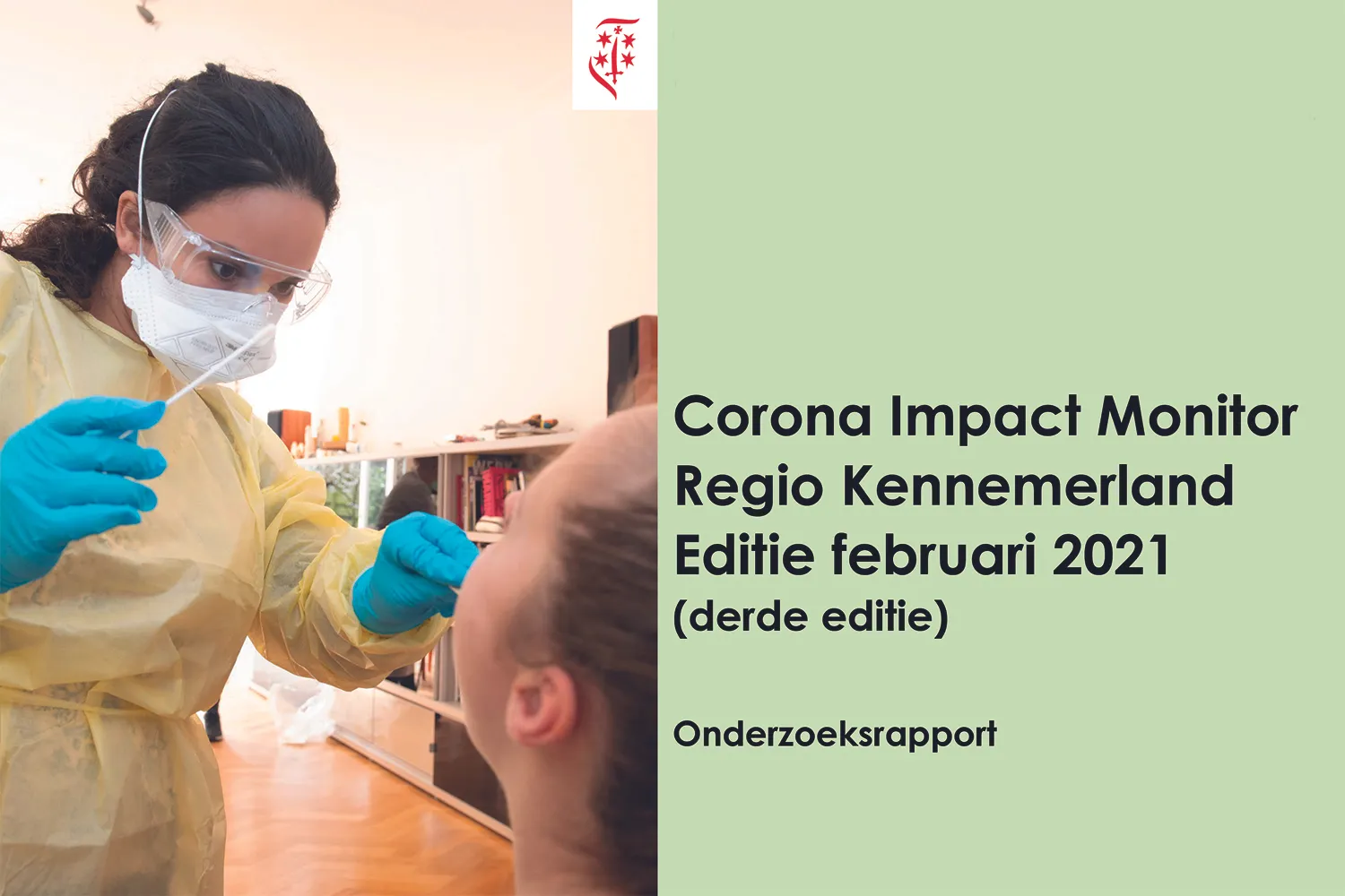 bijlage 1 regionale corona impact monitor februari 2021 1