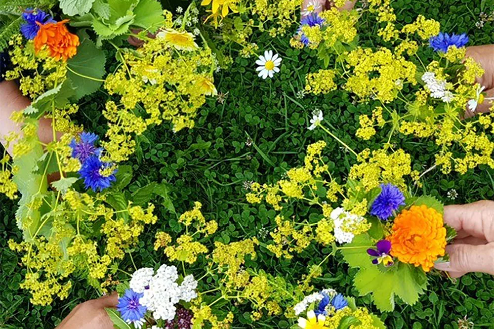 bosje theekruiden foto corina busman