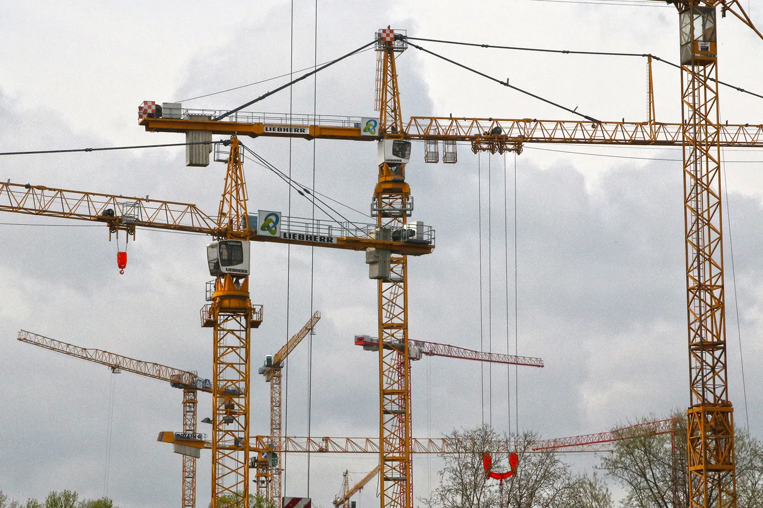 cranes 566634 pixa