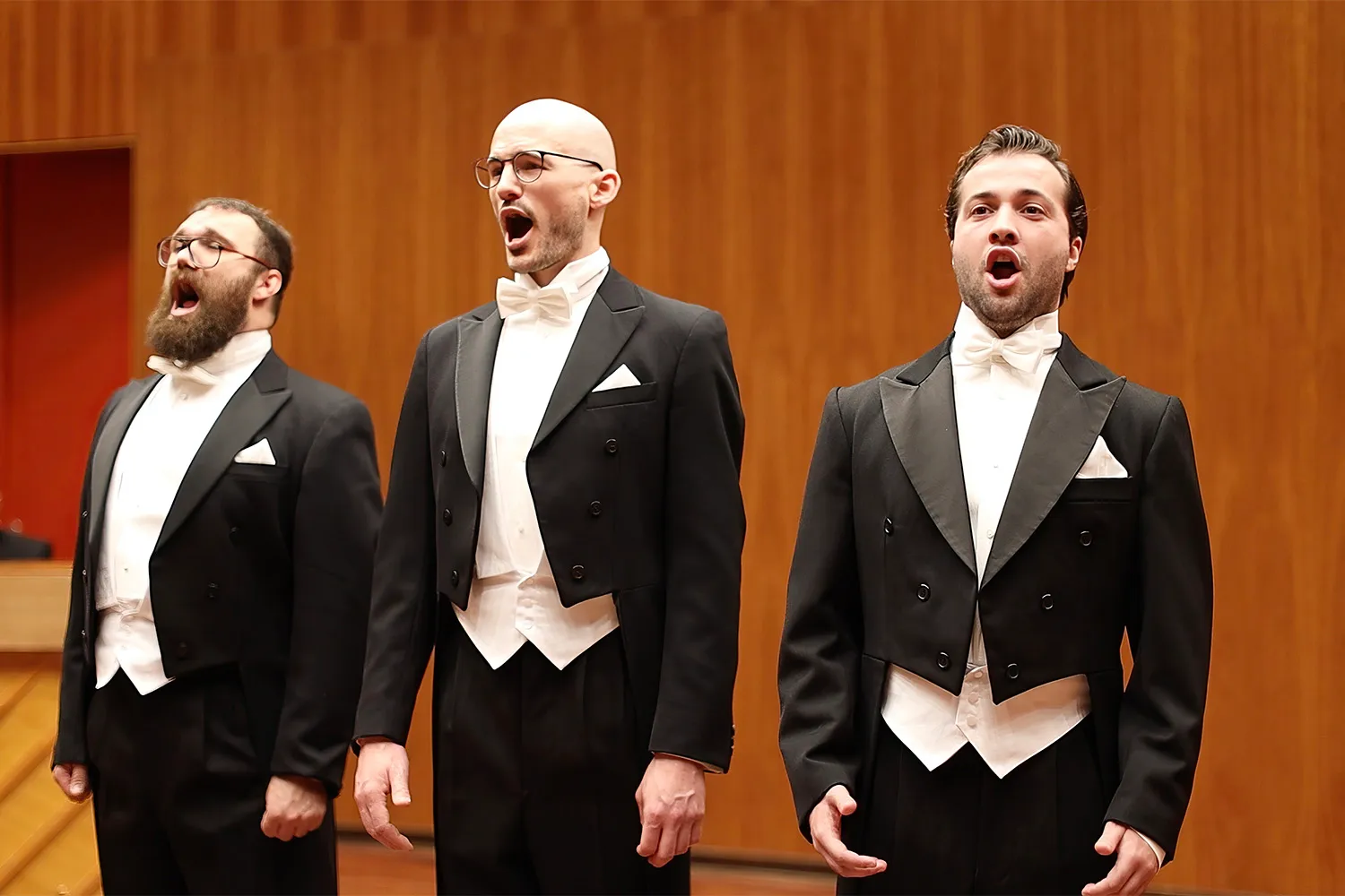 diamond baritones fotografie anouk van duifhuizen