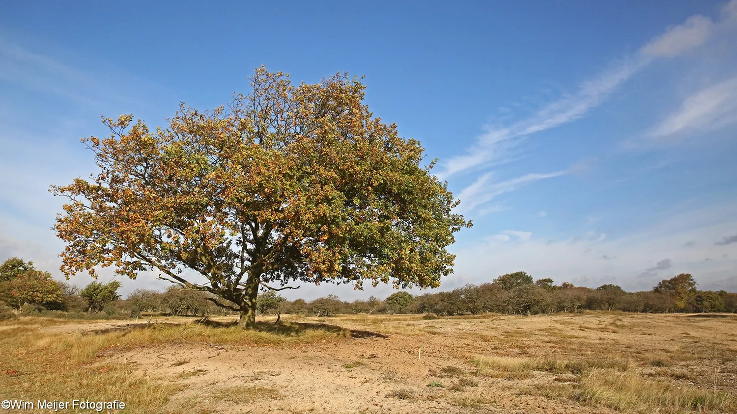 duinen 3