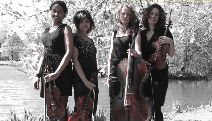 gaia strijkkwartet banner