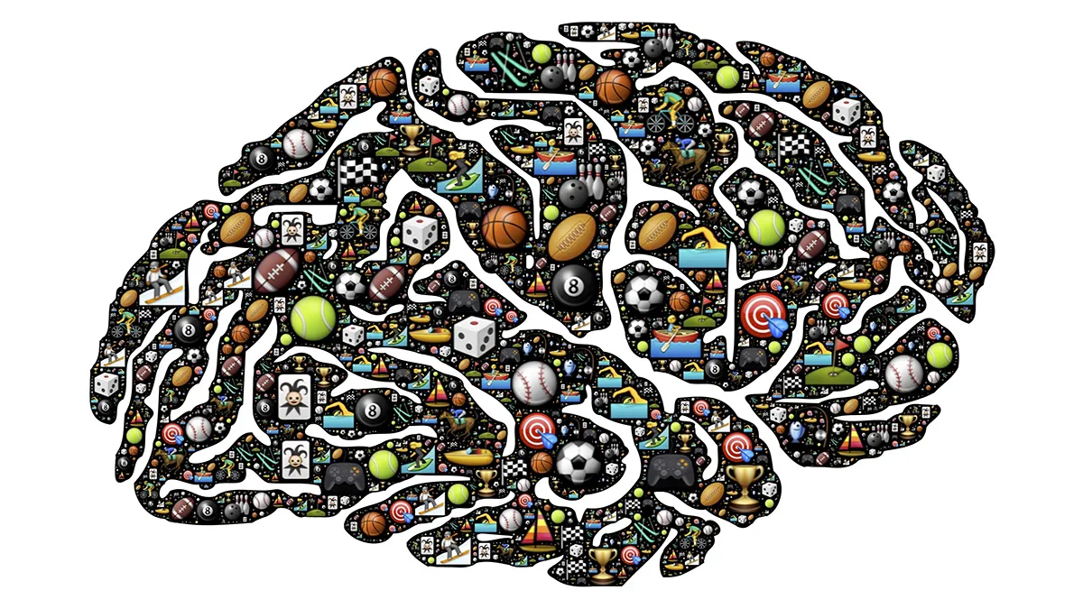 hersenen sport pixabay