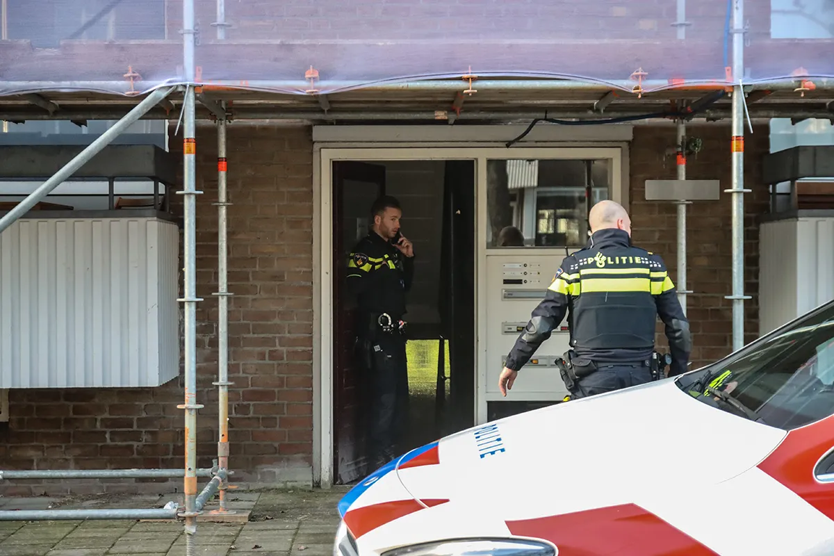 img 20240201 wa0216 kopieren