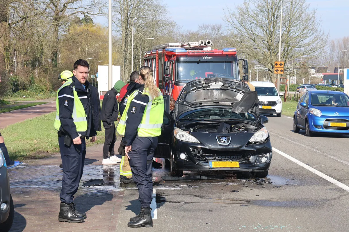 img 20240309 wa0036 kopieren 1