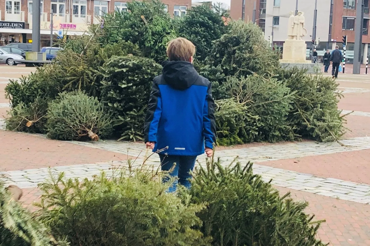 inzameling kerstbomen rechtenvrij