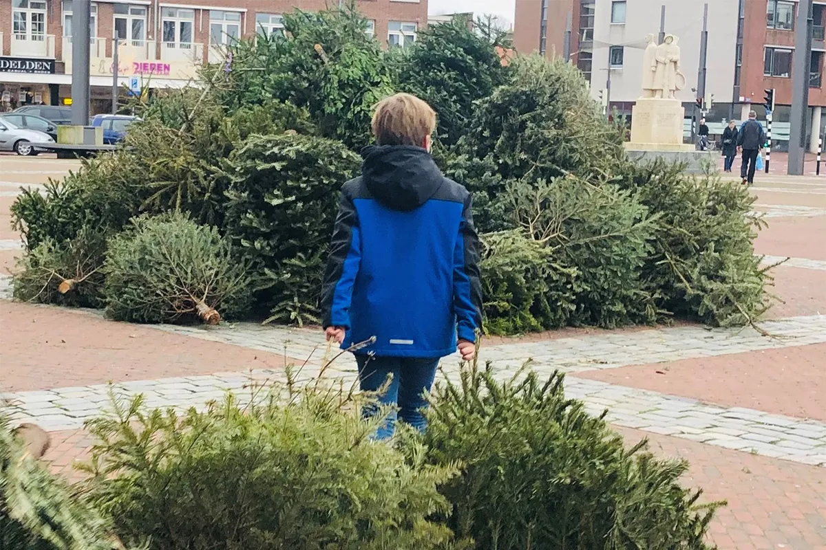 inzameling kerstbomen rechtenvrij