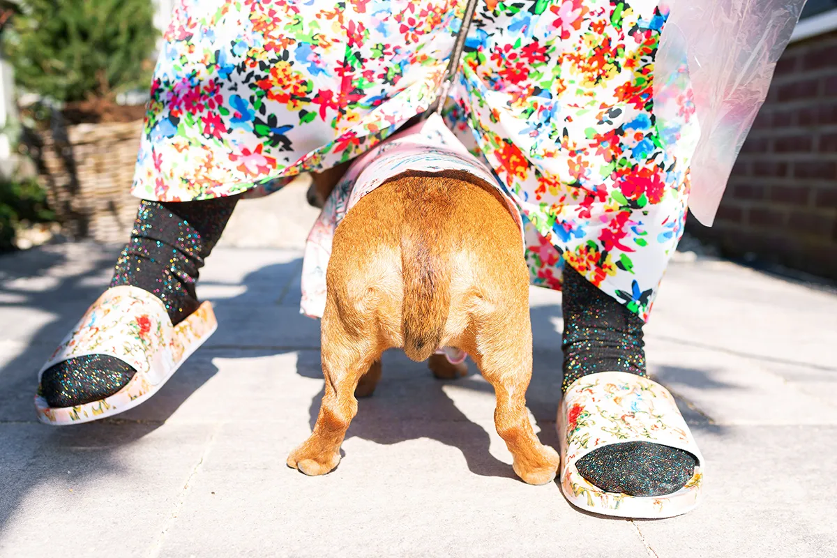 jap runwayoflife 02 lowres