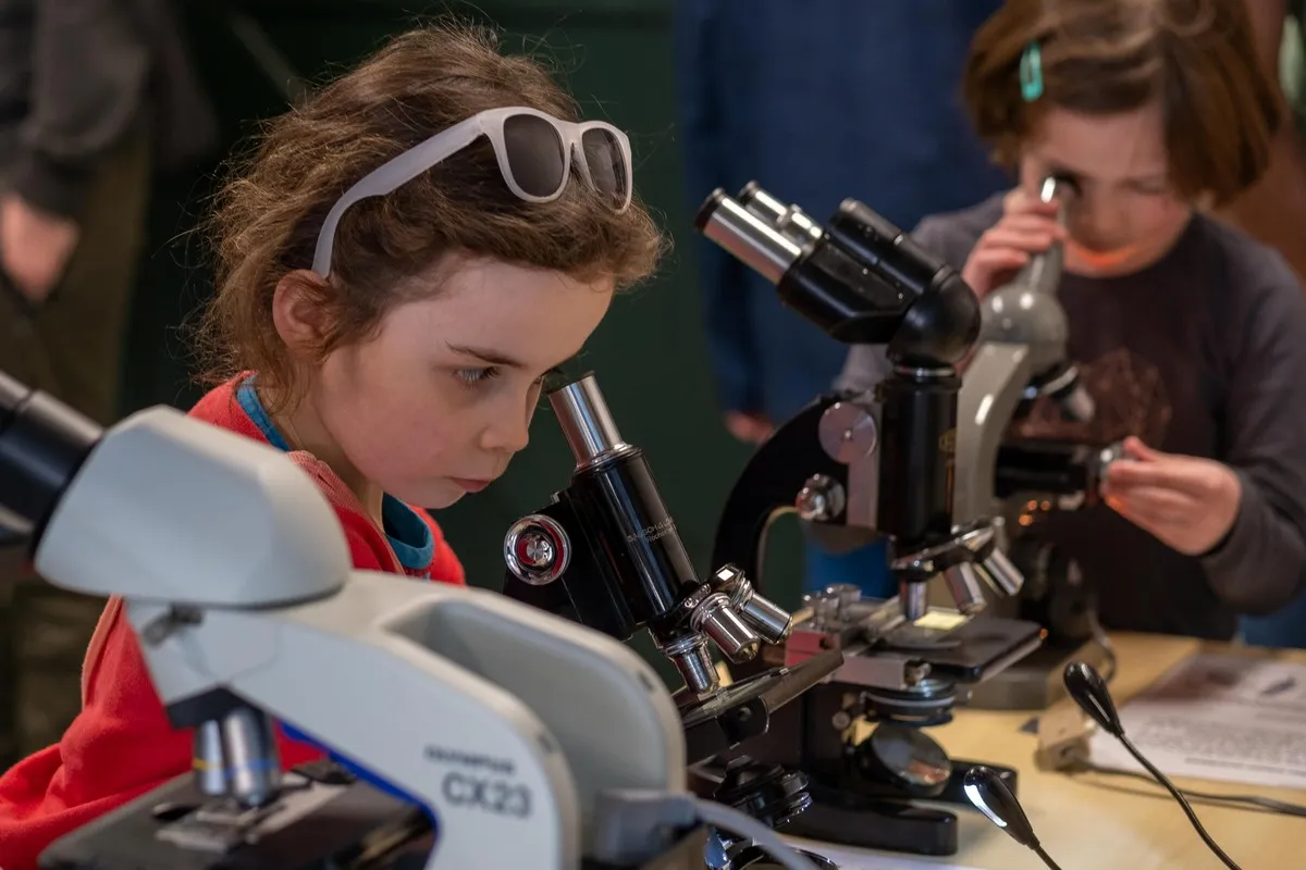 mugje onderzoekt vogelveren foto eva vogelhospitaal