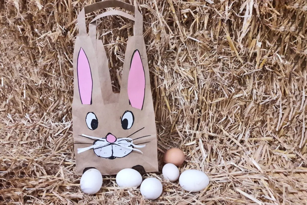 naamloos 1 paashaas spaarnwoude 1