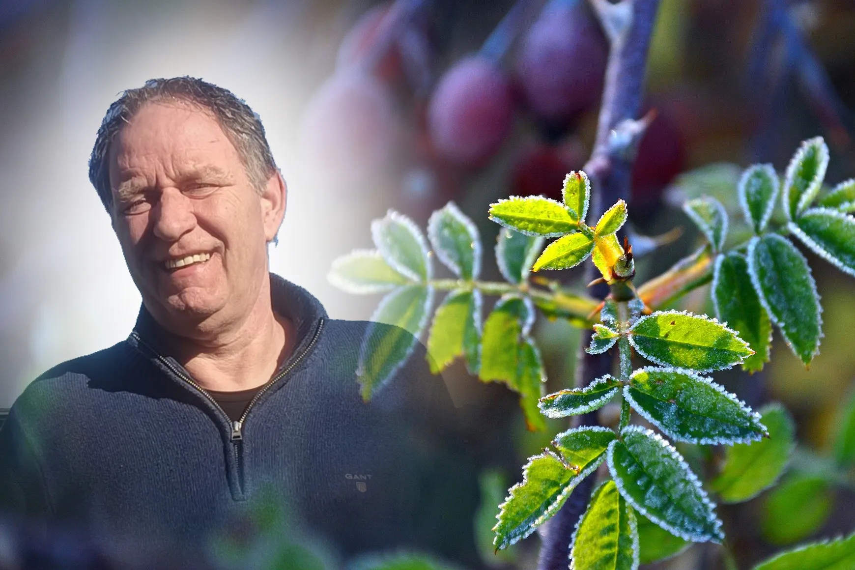 rain 4886848 1920 piet bevroren rijp