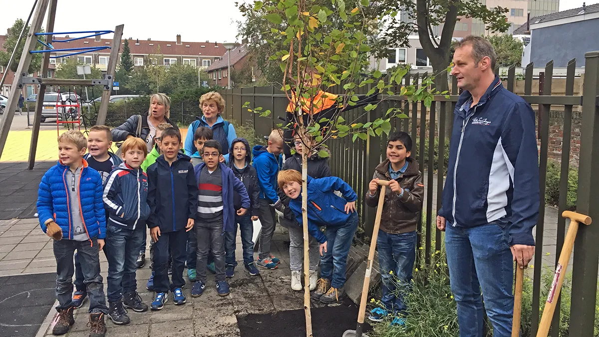 steenbreek tuin vol boomje planten boekanier