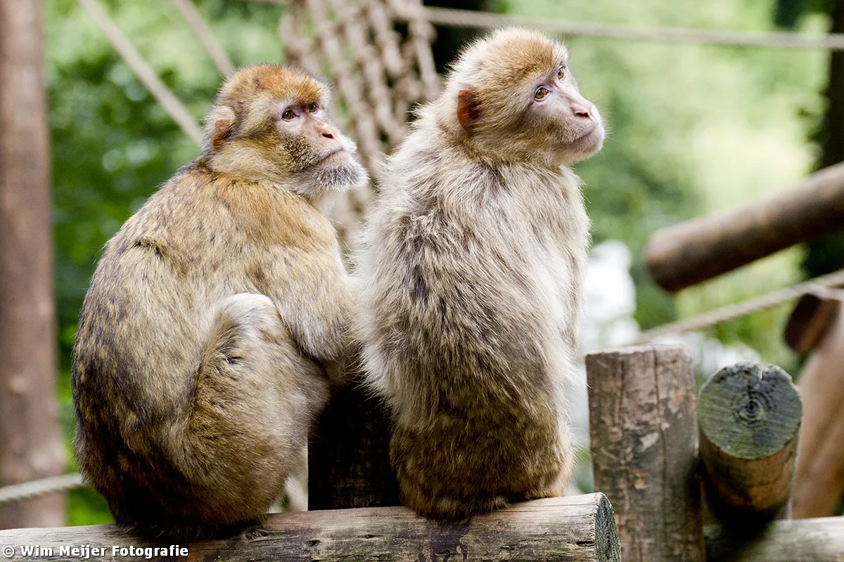 tumblr mw1nwpepga1svvyvco4 12801