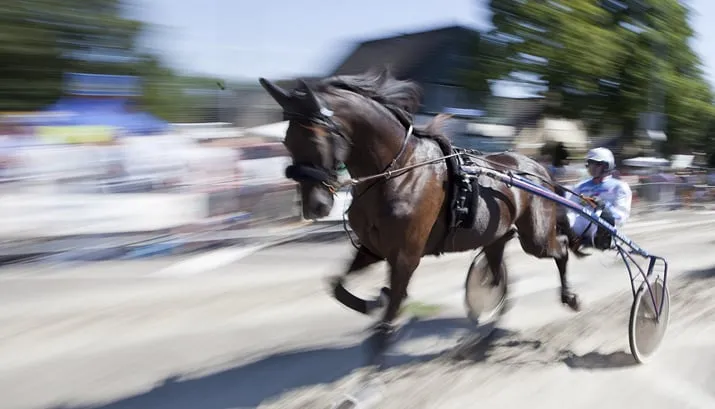 wim meijer fotografie banner harddraverijen