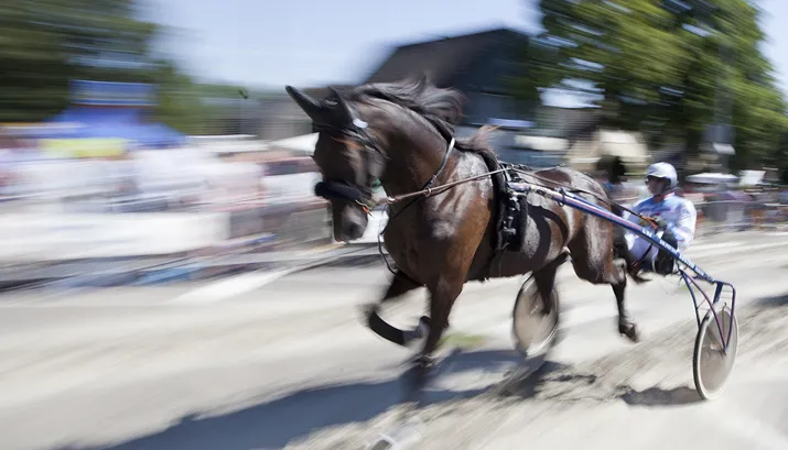 wim meijer fotografie banner harddraverijen