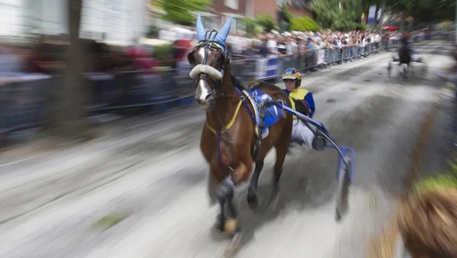 wim meijer fotografie img 0073 hoofdbanner 915x518