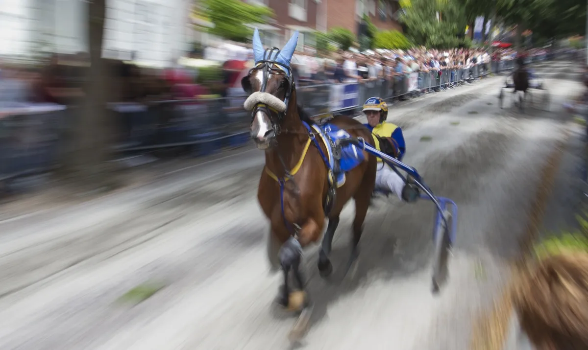 wim meijer fotografie img 0073 hoofdbanner