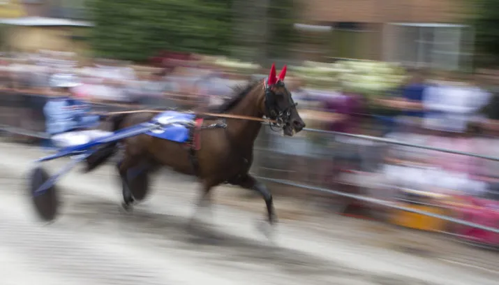 wim meijer fotografie img 0075 banner 715x408