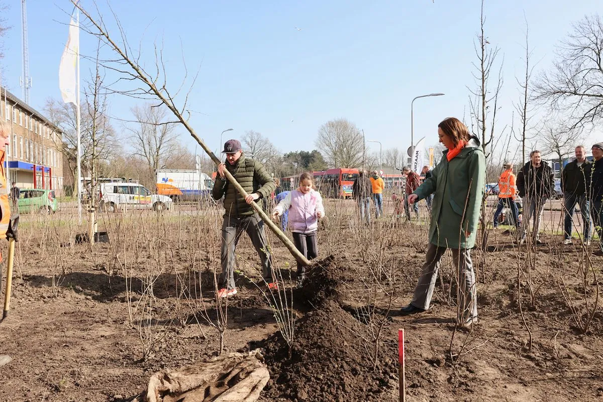 150 extra bomen planten in velserbroek rwf 7414 kopie