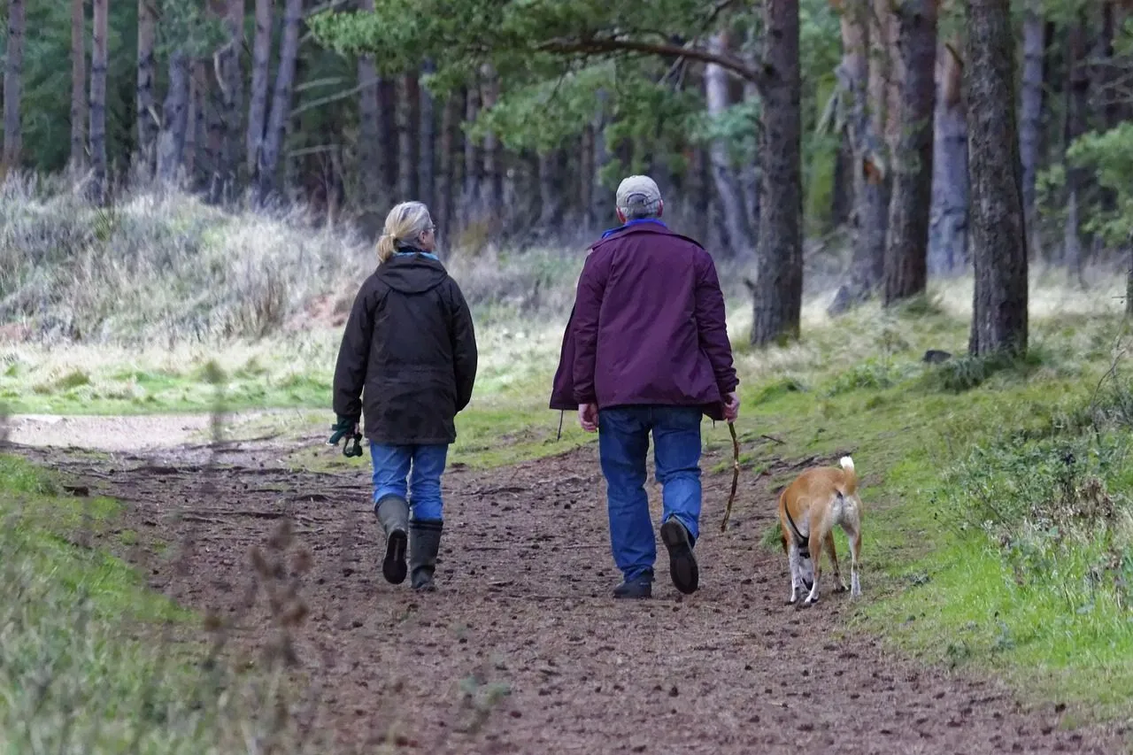 dog walking 1070076 1280 1