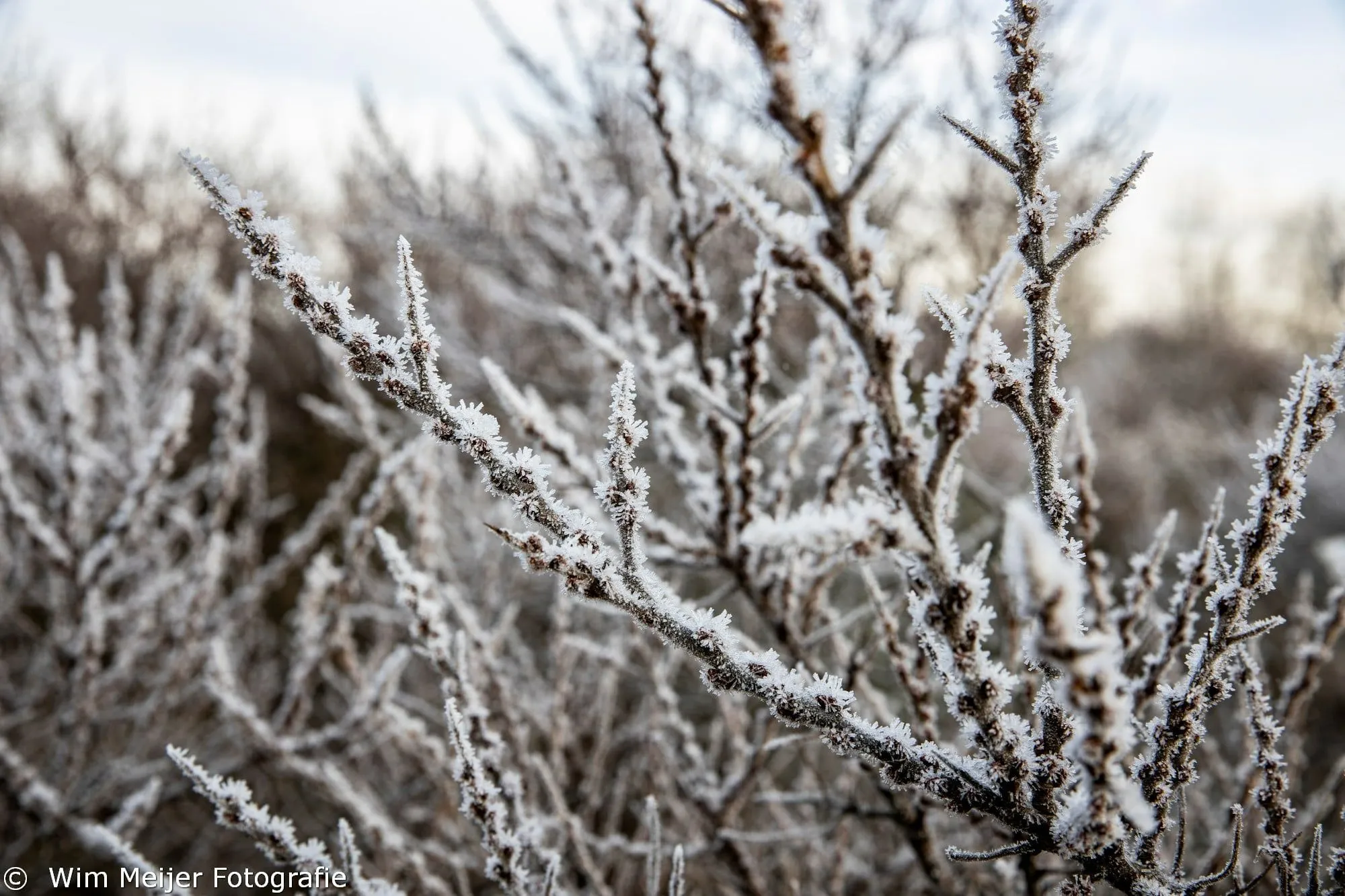 269784206 10222183660726527 3522607641178870941 n