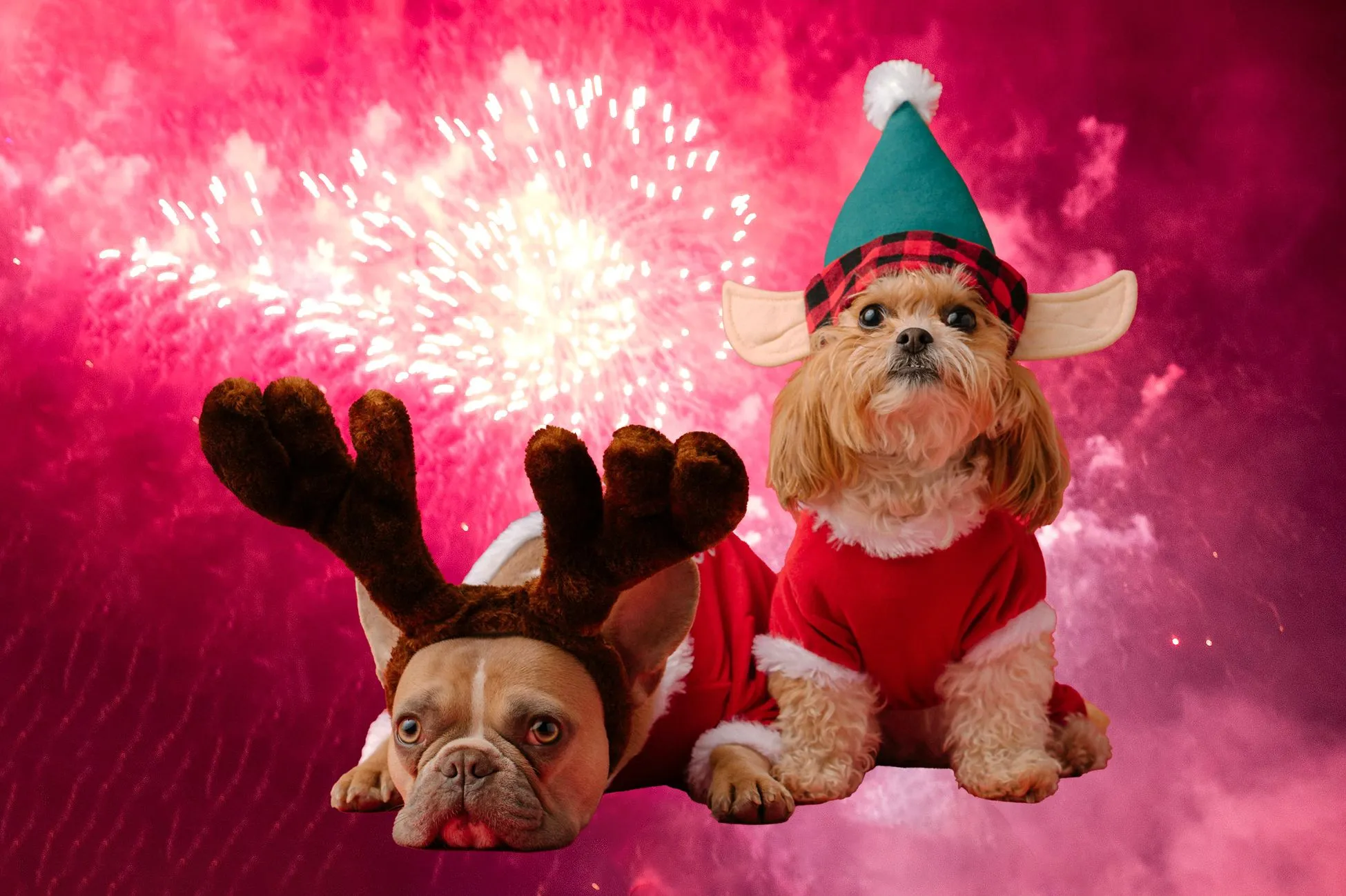 vuurwerk unsplash pixabay